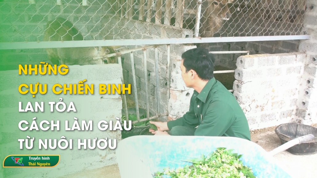 Những cựu chiến binh lan tỏa cách làm giàu từ nuôi hươu