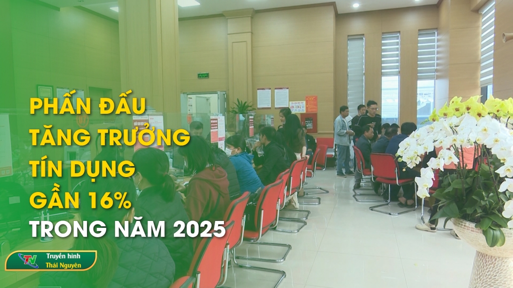 Phấn đấu tăng trưởng tín dụng gần 16% trong năm 2025