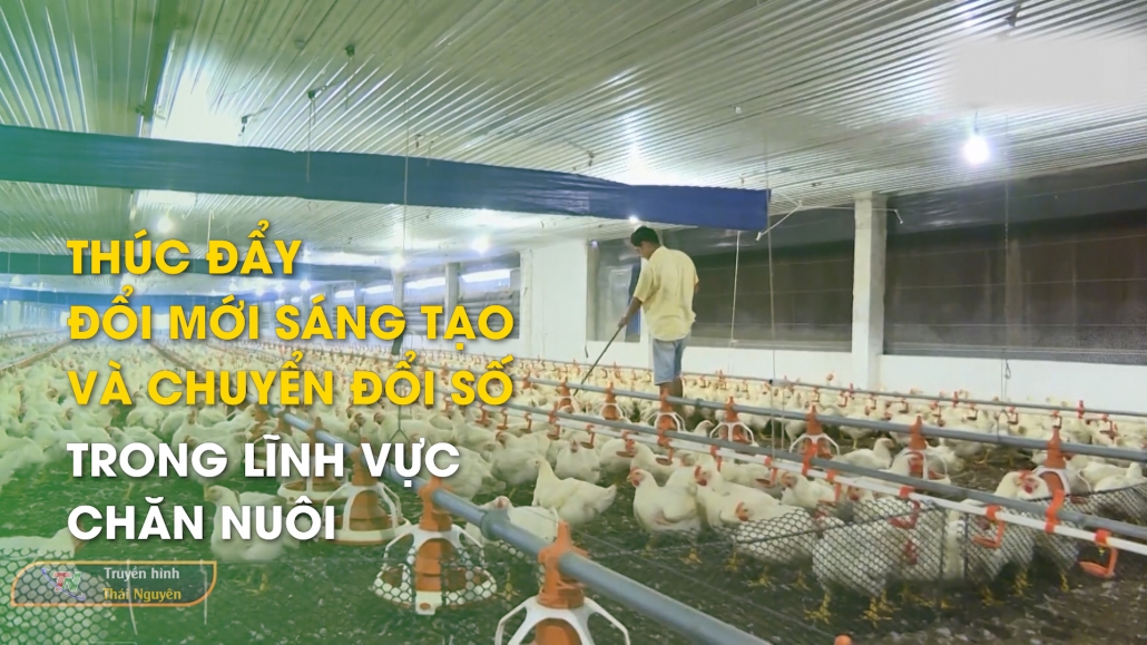 Thúc đẩy đổi mới sáng tạo và chuyển đổi số trong lĩnh vực chăn nuôi