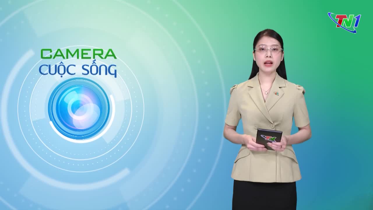Bản tin Camera cuộc sống ngày 20/3/2025