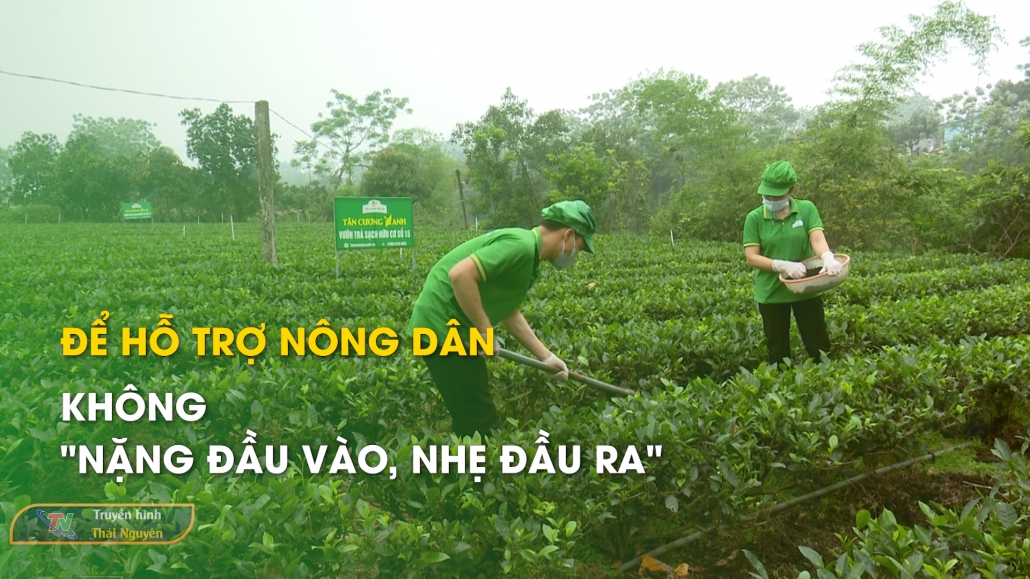 Để hỗ trợ nông dân không "nặng đầu vào, nhẹ đầu ra"