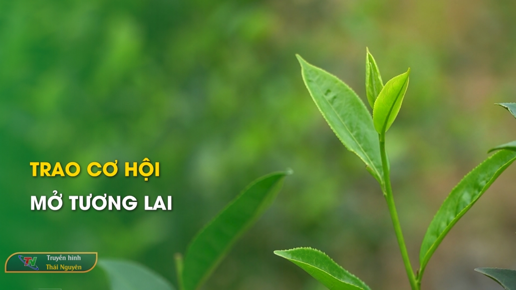 Trao cơ hội – Mở tương lai