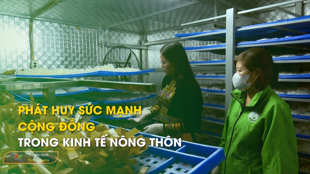 Phát huy sức mạnh cộng đồng trong kinh tế nông thôn