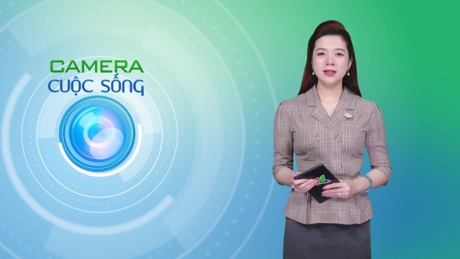 Bản tin Camera cuộc sống ngày 11/4/2025