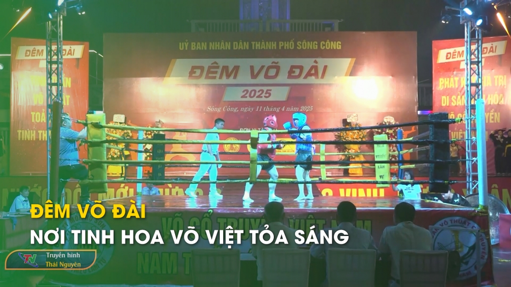 Đêm Võ Đài - Nơi Tinh Hoa Võ Việt Tỏa Sáng