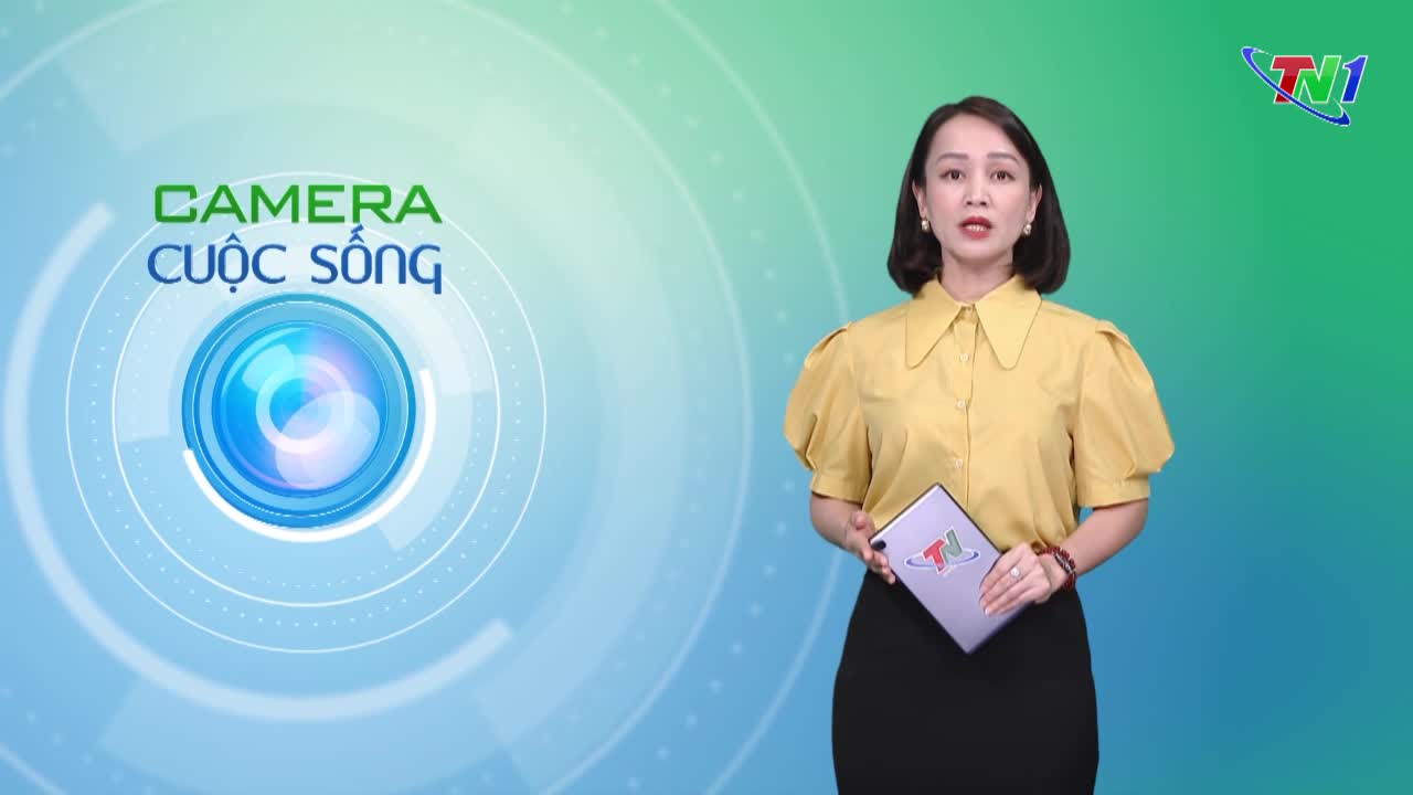 Bản tin Camera cuộc sống ngày 15/04/2025