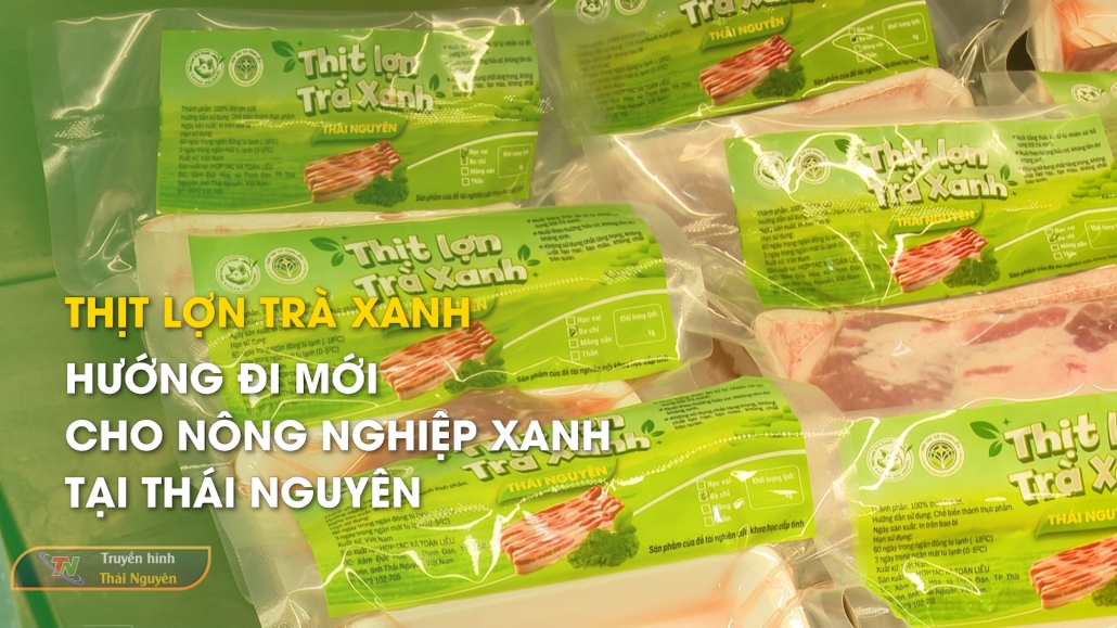 Thịt lợn trà xanh – Hướng đi mới cho nông nghiệp xanh tại Thái Nguyên