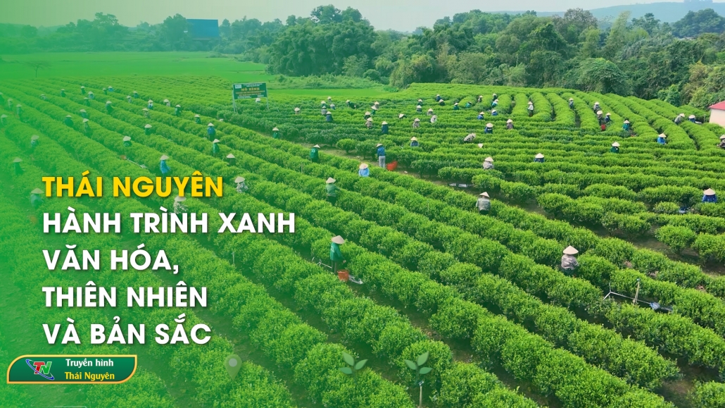 Thái Nguyên - hành trình xanh văn hóa, thiên nhiên và bản sắc