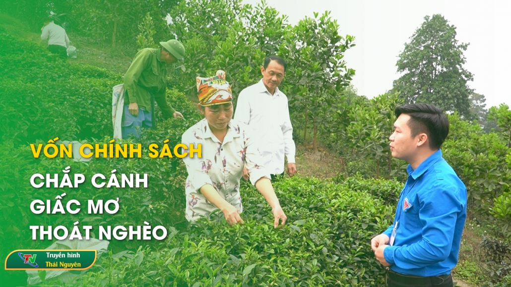Vốn chính sách – chắp cánh giấc mơ thoát nghèo