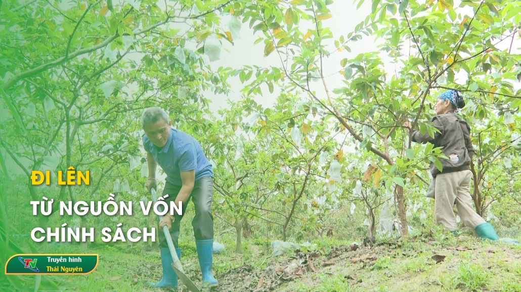 Đi lên từ nguồn vốn chính sách