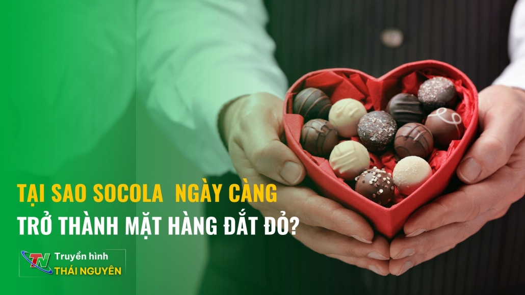 Tại sao socola ngày càng trở thành mặt hàng đắt đỏ?