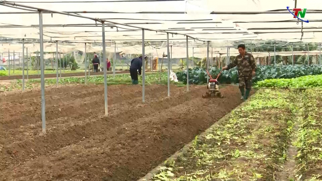 Bắc Ninh Hỗ trợ nông dân phát triển các mô hình kinh tế tập thể