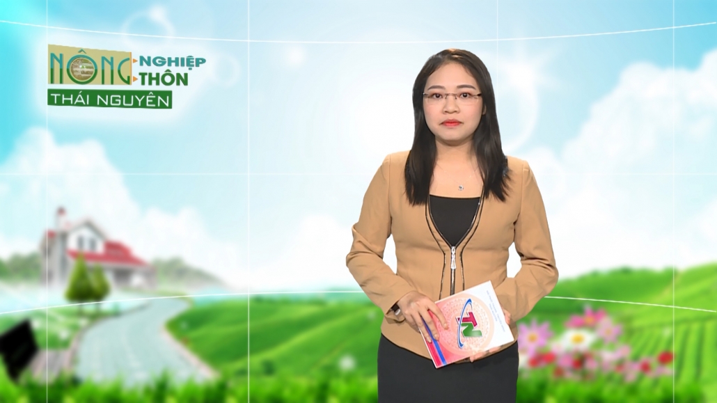 Nông nghiệp nông thôn Thái Nguyên ngày 24/3/2021