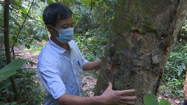 Chuyển đổi số trong quản lý bảo vệ rừng ở Đồng Hỷ